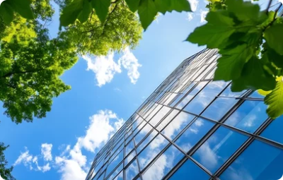 검증된 프로젝트 포트폴리오